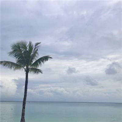 火影插件app下载